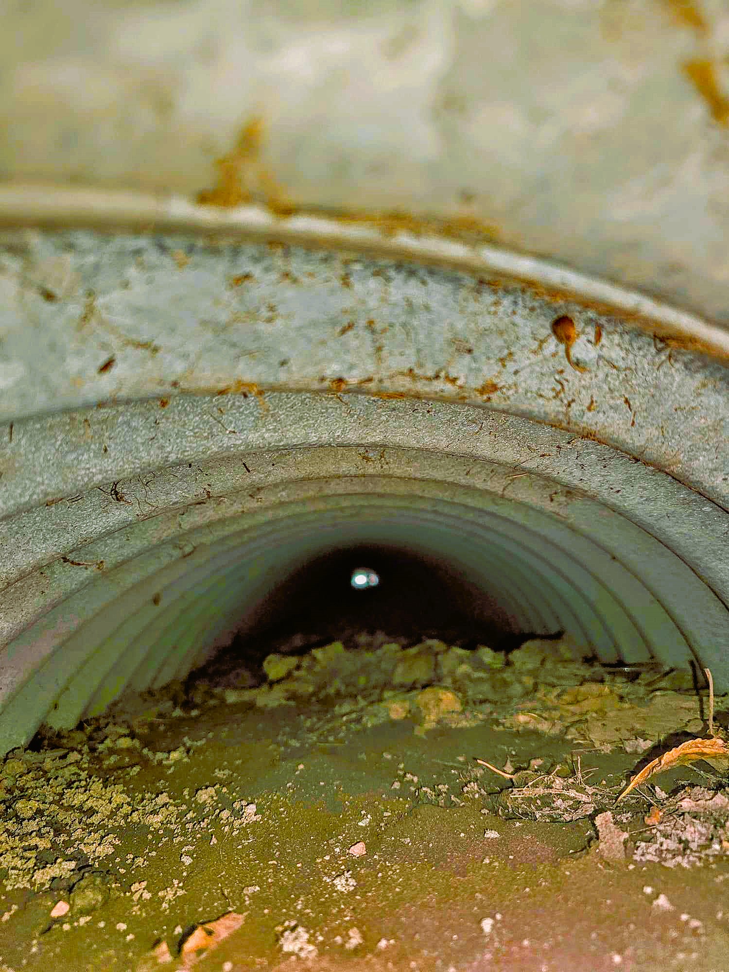 440154746_404413895730896_4669677367535016968_n Culvert cleaning